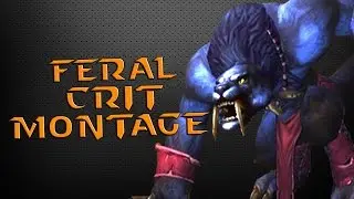 Rapidy - WoD 6.2.3 Feral Druid PvP CRIT Montage