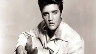 Elvis Presley vs. Richie Hawtin & Guido Schneider - Visual Idols