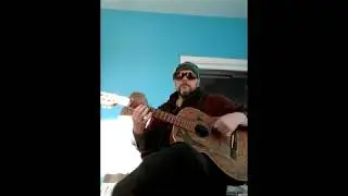 2019mar27a nylon string in the sunporch