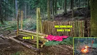 Nicomedia Shelter.I cleared the area.I'm Moving the Trees.I got my quarry ready #shelter #bushcraft