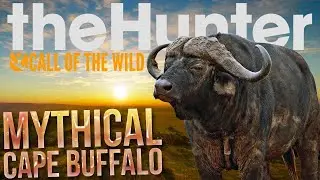 1 shot Mythical cape buffalo call of the wild best rifle !!!