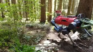 Der digitale Wald: Roboter für nachhaltige Holzwirtschaft