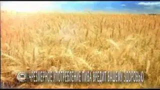 Балтика 3  Академия пивоварения