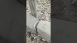 ВОССТАНОВИТЬ АЛЬФУ?