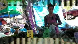 nnrtv11part1