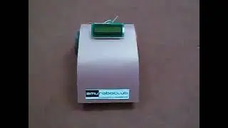 Autonomous Buggy