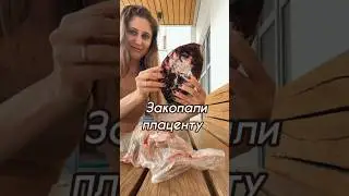 Закопали плаценту
