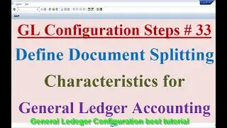 GL Configuration Steps #33 Define Document Splitting Characteristics for General Ledger Accounting