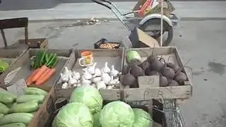 The price of garlic on 24. 06. 2017год. Rostov region