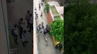 Gang Fight College students one vs 15