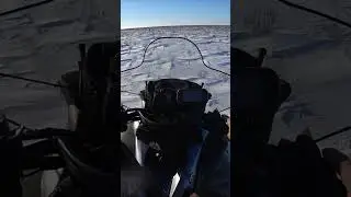Охота на волков!взяли крупного волка