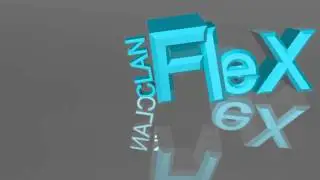 FleX Intro