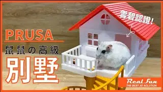【跟著RealFun動起來!!】3D列印鼠鼠的高級別墅 3D printing hamster's house
