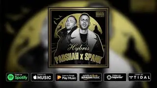PADSHAH x SPANK - HYBRIS (prod. by Padshah)