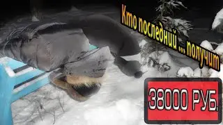 КТО ПОСЛЕДНИЙ УПАДЁТ С ЛАВКИ ( Вися вниз головой ) НОЧЬЮ В ЛЕСУ ПОЛУЧИТ 38000 РУБЛЕЙ