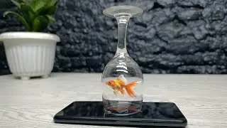AMAZING 3D Hologram Projector Using a WINEGLASS! 🍷 (Simple DIY)