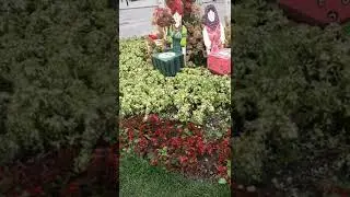 Осенний цветник