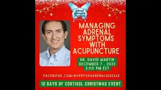 Managing Adrenal Disease Symptoms with Acupuncture