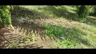 atv mikilon hammer / kebun