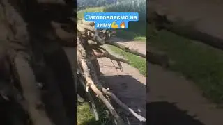 🔥Заготовляємо на зиму💪👍#shorts