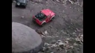 Bronco Training
