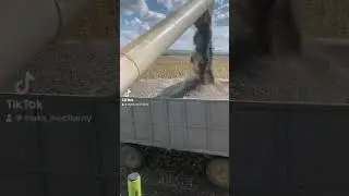 💲Ціна на соняшник Вбила ❗️