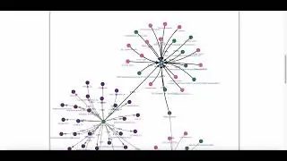 Example graph search for website