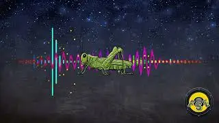 Cricket (Insect) #soundeffect