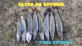 Роздача щуки.Риболовля на річці Сугоклія.