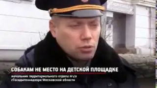 Госадмтехнадзор поможет решить проблему с выгулом собак
