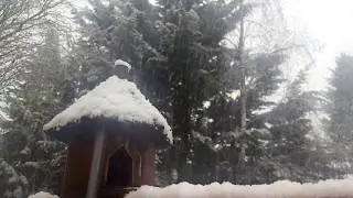 Snow in Estacada