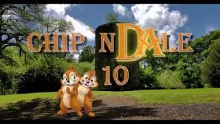 4K DUNGANNON SQUIRRELS, Part 10. Northern Ireland, February 27, 2019