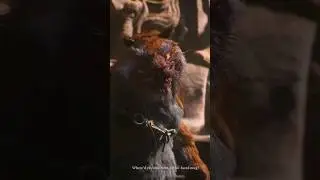 Black Myth Wukong - Tiger Vanguard Boss Fight Part 1 #blackmythwukonggameplay #blackmythwukong