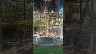 Walking around BADUNG Provincial Headquarters Bali