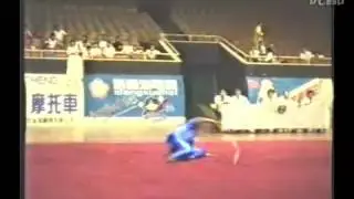 1995年全国武术套路锦标赛（传统项目）06 12