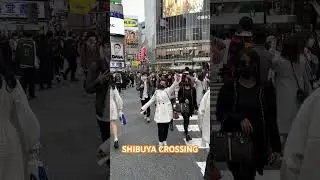 when shibuya crossing , crossed our paths ✌🏻 #japan #music #dance #halowaypoint #okinawa #live