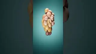 #houdini #simulation #cgi