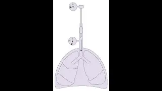 ATC (Automatic Tube Compensation)_DrNB Question_Dr Pradeep Rangappa