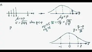 The Three-Distribution Diagram for One-Sample Proportions