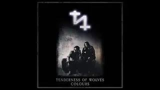 The Tenderness of Wolves / Colours  ( 12'' Mix )