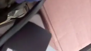Vogelhaus Livestream