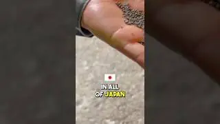 🔨 Japan's Elite Foundries 