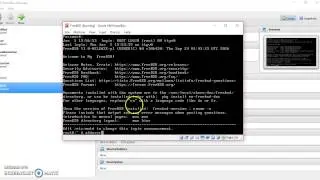 Install FreeBSD  part3