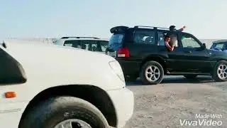 Бегдаш