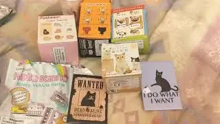 Blind Boxes!!! [June 2019]