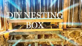 TIMELAPSE - EASY DIY Chicken Nesting Box