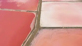 Рожеві солоні озера. Україна. Моя країна