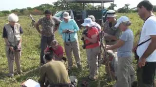 Brazil Part1 - The Pantanal - November, 2008