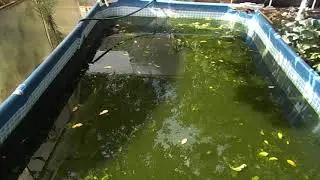 Прозрачность воды часть 2