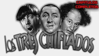 Los TRES Chiflados Español Latino - Capítulos Completos